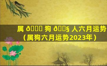 属 🐎 狗 🐧 人六月运势（属狗六月运势2023年）